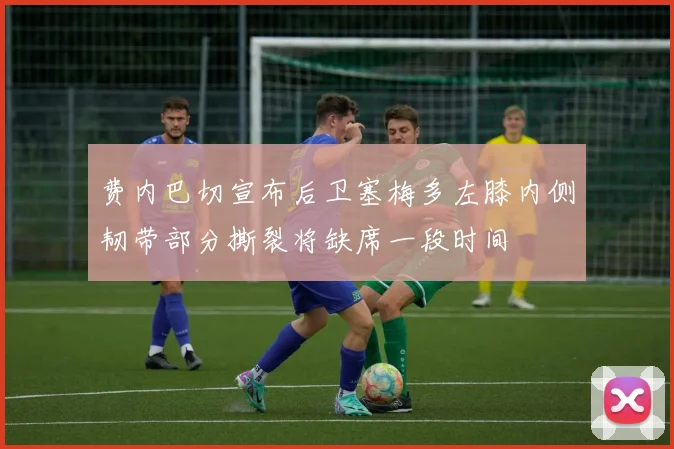 费内巴切宣布后卫塞梅多左膝内侧韧带部分撕裂将缺席一段时间