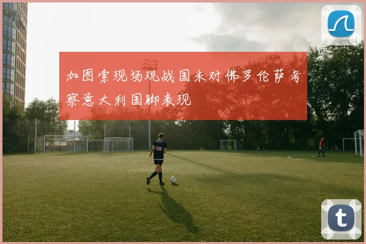 加图索现场观战国米对佛罗伦萨考察意大利国脚表现