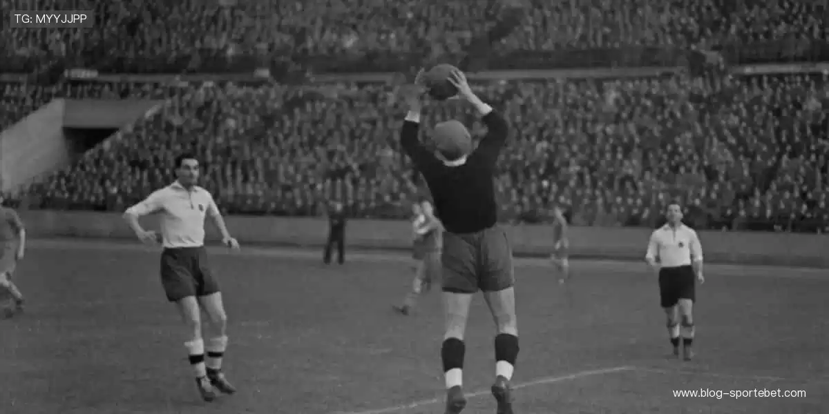 🎁 周边好物,解锁你的运动 DNA!